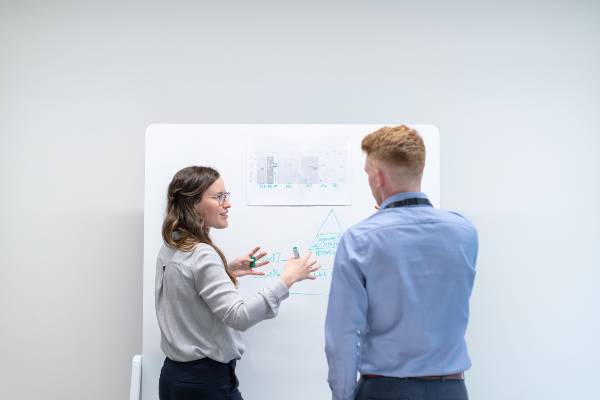 business analyst